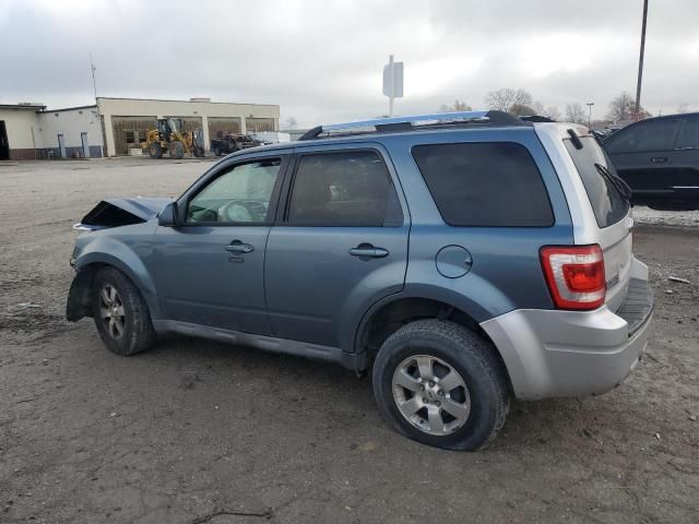 2010 Ford Escape Limited