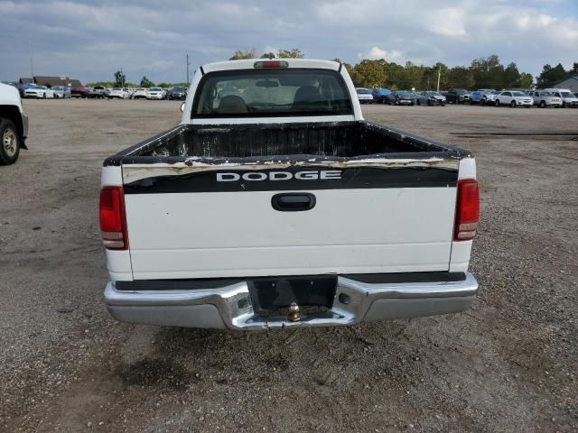 2004 Dodge Dakota SLT