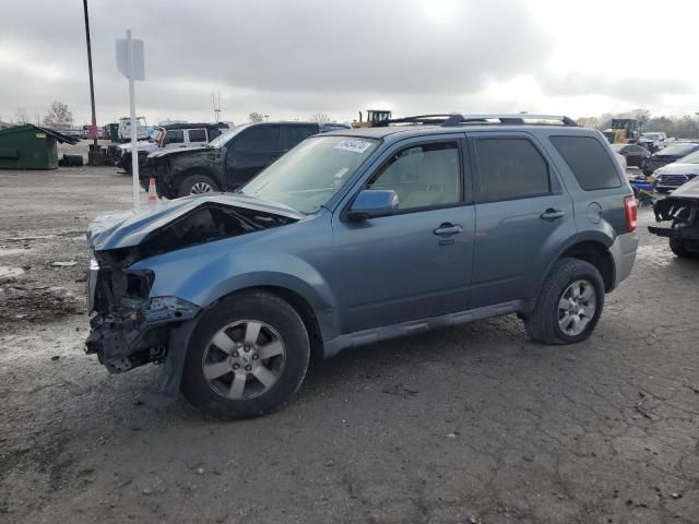 2010 Ford Escape Limited