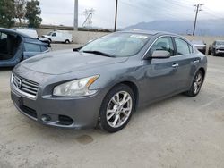 Nissan Maxima salvage cars for sale: 2014 Nissan Maxima S