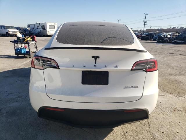 2020 Tesla Model Y