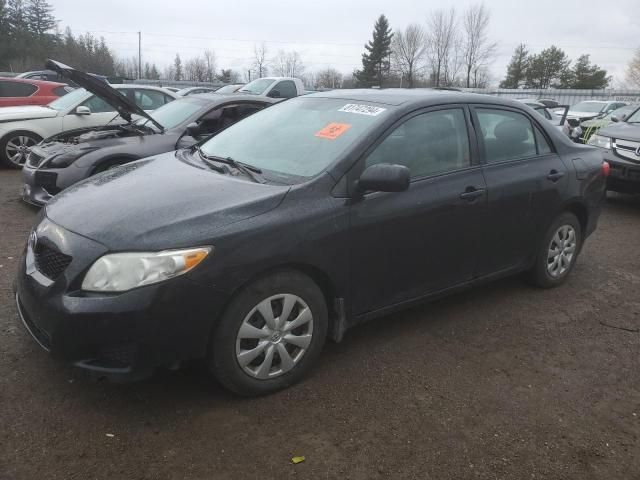 2010 Toyota Corolla Base