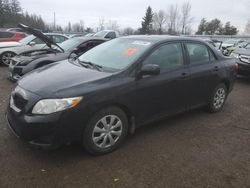 Toyota Corolla salvage cars for sale: 2010 Toyota Corolla Base