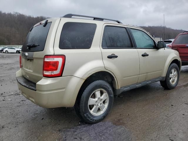 2011 Ford Escape XLT