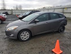 Ford Focus salvage cars for sale: 2012 Ford Focus SE