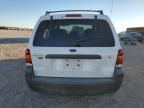 2006 Ford Escape XLT