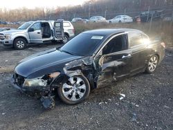 Honda Accord salvage cars for sale: 2009 Honda Accord EXL