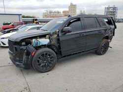 Cadillac Escalade salvage cars for sale: 2024 Cadillac Escalade Sport