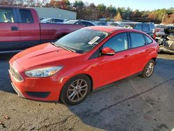 Ford Focus salvage cars for sale: 2016 Ford Focus SE