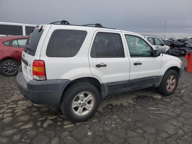 2006 Ford Escape XLT