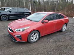 KIA Forte salvage cars for sale: 2019 KIA Forte FE