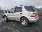 2005 Mercedes-Benz Ml 500