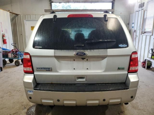 2011 Ford Escape Limited