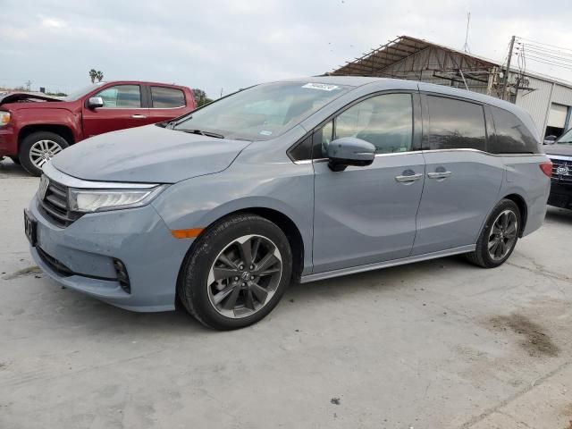 2023 Honda Odyssey Elite