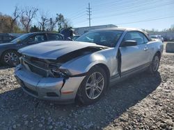 Ford Mustang salvage cars for sale: 2010 Ford Mustang