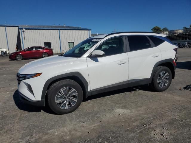 2022 Hyundai Tucson Blue