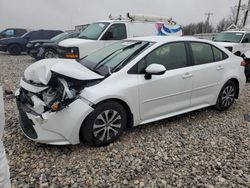 Toyota Corolla salvage cars for sale: 2022 Toyota Corolla LE