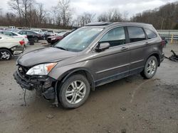 Honda crv salvage cars for sale: 2010 Honda CR-V EXL