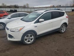 Ford Escape salvage cars for sale: 2014 Ford Escape SE