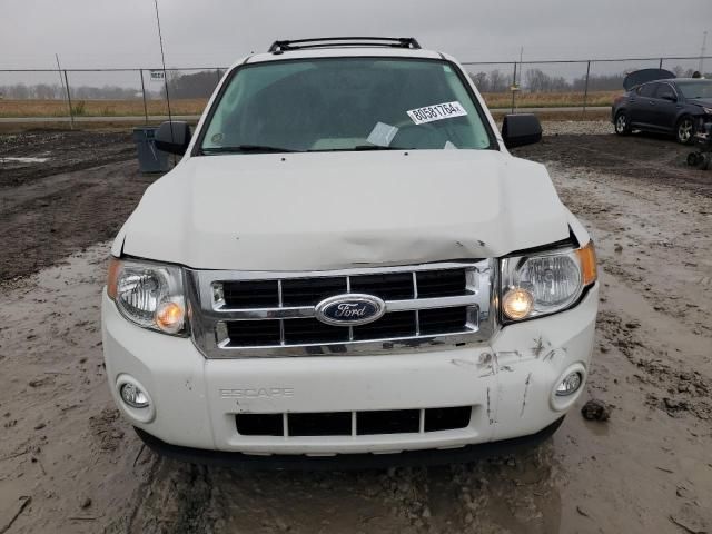 2012 Ford Escape XLT