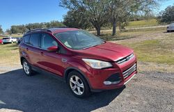 Ford Escape salvage cars for sale: 2013 Ford Escape SE