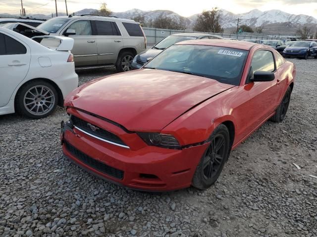 2014 Ford Mustang