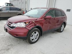 Honda salvage cars for sale: 2010 Honda CR-V EXL