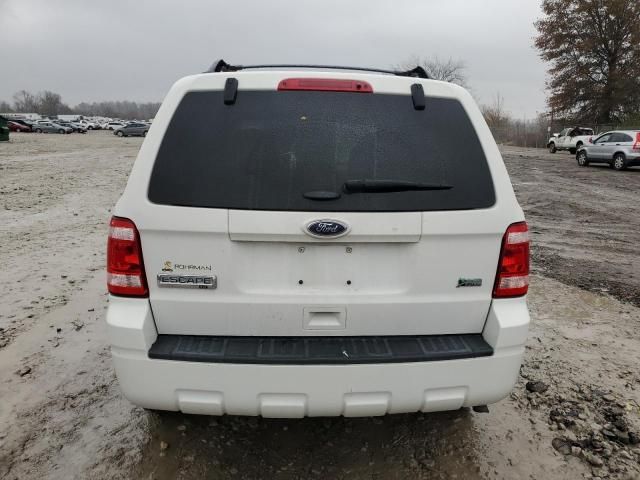 2012 Ford Escape XLT