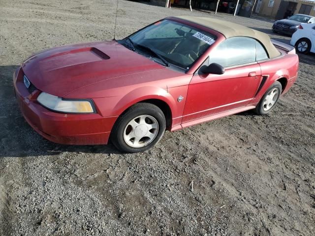 1999 Ford Mustang