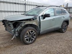 Toyota rav4 salvage cars for sale: 2020 Toyota Rav4 Adventure