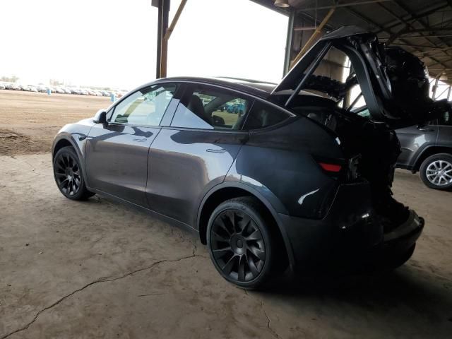 2025 Tesla Model Y