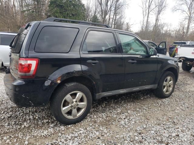 2012 Ford Escape XLT