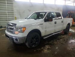 Ford salvage cars for sale: 2013 Ford F150 Supercrew