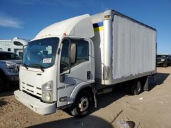 Salvage cars for sale from Copart Albuquerque, NM: 2009 Isuzu NPR