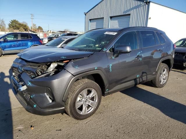 2024 Toyota Rav4 LE