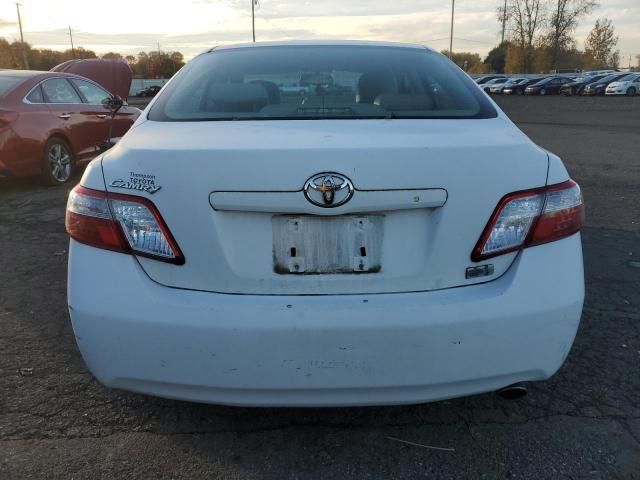 2009 Toyota Camry Hybrid