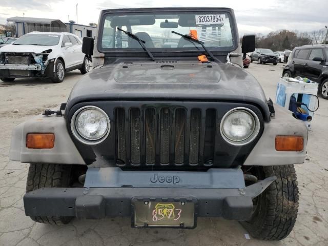 1999 Jeep Wrangler / TJ SE