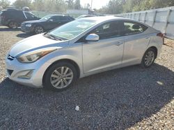 Hyundai Elantra salvage cars for sale: 2014 Hyundai Elantra SE