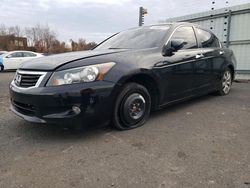 Honda salvage cars for sale: 2010 Honda Accord EXL