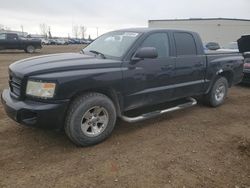 Dodge salvage cars for sale: 2008 Dodge Dakota SXT