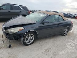 Toyota Camry Sola salvage cars for sale: 2008 Toyota Camry Solara SE