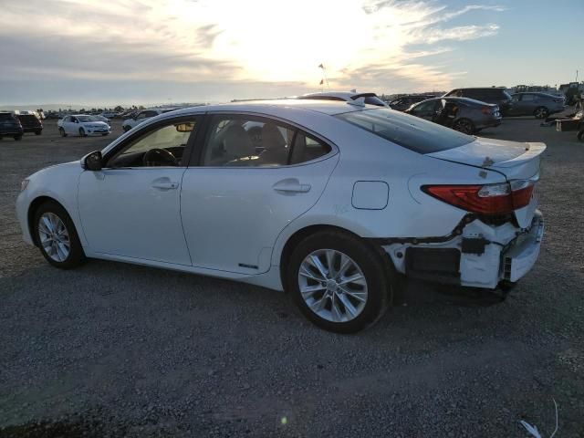 2013 Lexus ES 300H