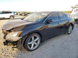 Nissan Maxima salvage cars for sale: 2012 Nissan Maxima S