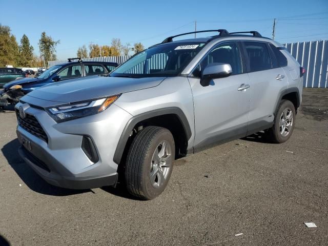 2024 Toyota Rav4 XLE