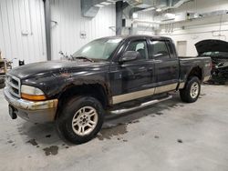 Dodge Dakota salvage cars for sale: 2003 Dodge Dakota Quad SLT