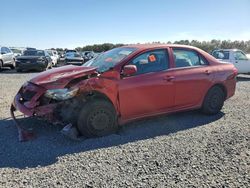 Toyota Corolla cr salvage cars for sale: 2010 Toyota Corolla Base