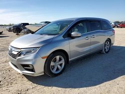 Honda Odyssey exl Vehiculos salvage en venta: 2020 Honda Odyssey EXL