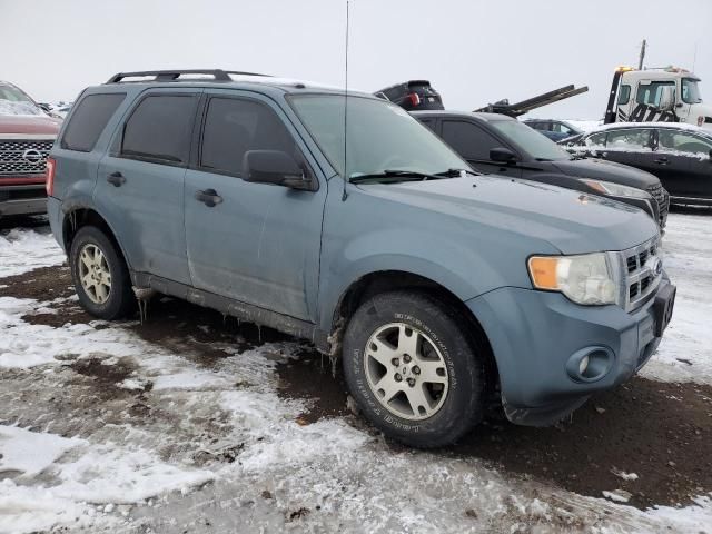 2011 Ford Escape XLT