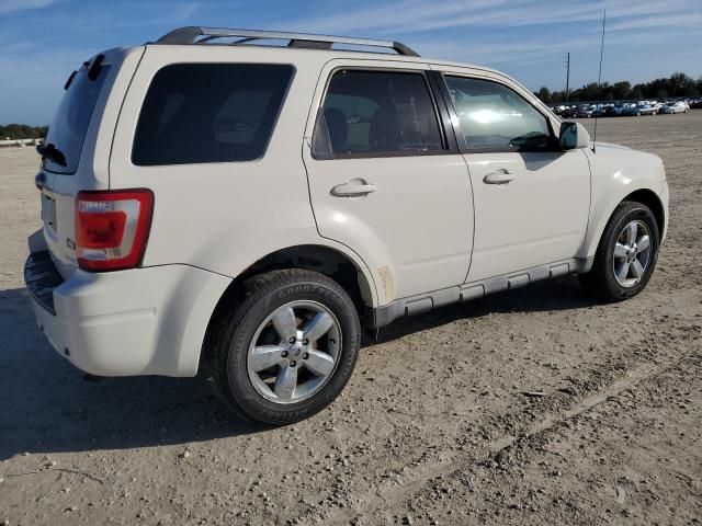 2010 Ford Escape Limited