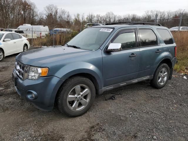 2011 Ford Escape XLT